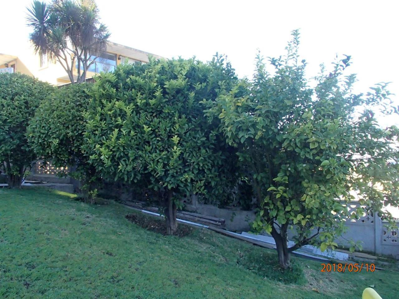 Hotel Camino Del Alto Vina del Mar Exterior foto
